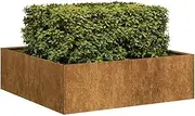 Raised Garden Bed, Elevated Planter Box Plant Container Rusty 100x100x30 cm Weathering Steel