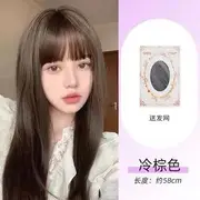 Long Full Wig - Straight With Wig Cap - Brown - One Size