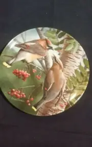 Knowles collector plate "THE CEDAR WAXWING"