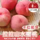 【果農直配】卡拉部落拉拉山水蜜桃x2盒(8顆/約1.2-1.4kg/盒)