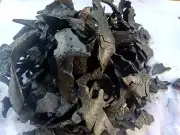 Coconut shell charcoal chips 100% PURE ORGANIC NATURAL Activated Carbon Chips