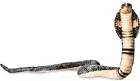 HANSA 190478 Stuffed Animal King Cobra 155 No. 6472 Real Cute Plush Doll new