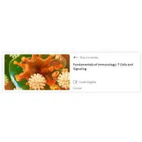 在飛比找蝦皮購物優惠-Fundamentals of Immunology: T 