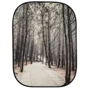 Lastolite BG Perspectve 150x210cm Stone Steps & Winter Trees Double/s Magnetic mount