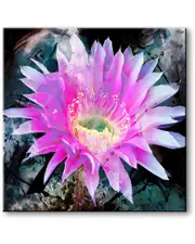 Ready2HangArt Painted Petals XLI Canvas Wall Art