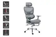 Ergolux EZ11 Ergonomic Office Chair with Dynamic Lumbar Support and Footrest (Grey)