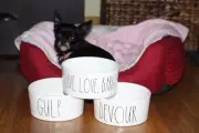 Rae Dunn Magenta Dog Pet Dish Bowl ~ YOUR PICK, DEVOUR, LIVE LOVE BARK