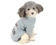 MPet clothes Dog cat clothes Pet cool little sweater Dog motorcycle pattern sweater- m