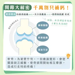 【歸毛家族】寵物 保健品 超值66折 強心寶 蚓激酶2盒 + 關節寶 龜鹿駝鳥精2盒 貓 狗 保養 食品 官方旗艦店