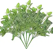 5Pcs Watermelon Peperomia Artificial Plant 12.9" Plastic Plants Fake Green Bushes Greenery Décor for Wedding Indoor Outdoor Home Garden Verandah Office Table Centerpieces Arrangements Decoration