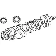 Crankshaft & Rope Seal 3639541M1 Fits Massey Ferguson 175 180 715B C300 50C 165