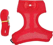 PEPLAYTAL 1Set Hen Harness with Extra Long Leash Durable Pet Chicken Pulling Rope for Easy Walking and Traction for Outdoor Training and Enjoyable