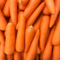 在飛比找momo購物網優惠-【皮果家】台灣鮮採紅蘿蔔10台斤/箱
