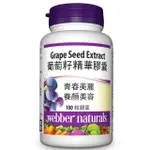 ☀️菲菲代購☀️ WEBBER NATURALS 葡萄籽精華膠囊 (每瓶*180顆) COSTCO代購