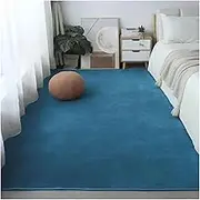 Large Carpet Home Decor Coral Velvet Solid Color Living Room Sofa Foot Mat Nursery Area Rug Kids Crawling Game Carpet(Blue,200x250cm(78x98in))