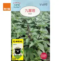 在飛比找momo購物網優惠-【特力屋】花田綠地種子-九層塔