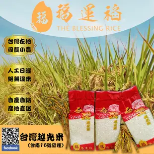 【預購新鮮米，試吃大放送】［無農藥殘留檢出］台灣越光米 700g/包（台南16號）有機 栽培 日晒米 米 磚