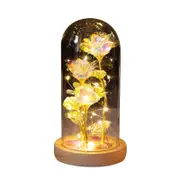 Catzon Galaxy Rose Light Glass Dome Romantic Gifts on Valentines Day-WarmLightB