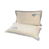 在飛比找樂天市場購物網優惠-全棉兒童枕套單個乳膠枕枕套30*50雙層紗刺繡寶寶枕頭套40