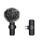 Wireless Lavalier Microphone Portable Audio Video Recording Mini Mic For iPhone Android Facebook Youtube Live Broadcast Gaming Type-C with hairball