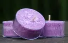 10pk Australian KAKADU PLUM & LEMON MYRTLE Native Scent Fruit TEA LIGHT CANDLES