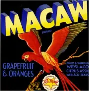 Weslaco Texas Macaw Orange Citrus Crate Label Art Print