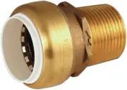 UIP120 Schedule 40 PVC Transition Individually Bagged Coupling, Brass