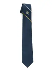 Navy/Gold/Silver Tie