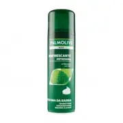 Palmolive Refreshing Menthol Shaving Foam 300ml