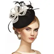 Black Feather Fascinators Headband - 2025 Vintage Kentucky Derby Hats Mesh Victoria Tea Party Hat for Women