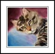 LOVE EYES - TABBY CAT ART FRAMED ARTIST'S PROOF PRINT DREW STROUBLE CATMANDREW