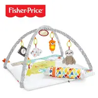 在飛比找松果購物優惠-Fisher-Price 費雪 感官訓練可愛動物健身器(偏遠