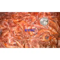 在飛比找蝦皮購物優惠-東港順記 ( 料理用) 蝦猴 紅蝦 一台斤 600元 適作為