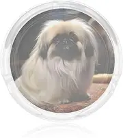 Glass Ashtray for Cigarettes Portable Decorative Modern Cigarette Ash Tray Pekingese Dog Round Cigar Ashtrays Holder Cute Cool Tabletop Ashtray for Office Home Indoor Outdoor