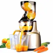 Mini Juicer Extractor Automatic Portable Blender Orange Squeezer Home