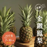 在飛比找博客來優惠-【禾鴻】高雄金鑽鳳梨20斤x1箱(7-10顆/箱)