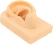 Gogogmee Ear Model for Studs Wearing Practical Human Ear Piercing Teaching Tool for Beauty Shops Schools and Training Realistic