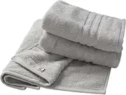 hiorie (Hiorie) Imabari Towel Certification HOTEL'S Hotels face Towel Set of 3 Silver-Gray Made in Japan Imabari Brand