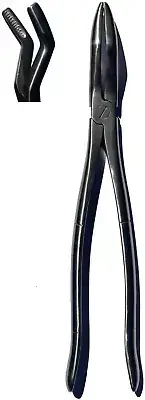 12' Equine Dental Wolf Tooth Extraction Forceps