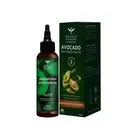 Ayurvedic Hair Oil Non-Sticky Moisturising Hair Oil - Non-Greasy Styling 100ml