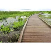 Save 10.02%! Louisiana Creole Nature Trail Self-Guided Audio Driving Tour