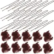 MERRYHAPY 1 Set Ultrafine Mesh Hair Nets with Shaped Clips Convenient Bun Cover for Women Ballet Hairstyles Secure and Breathable Hair Accessories for Formal Events