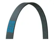 Multi Rib Belt For 2015-2017 Lexus RC350 2016 DS172YJ Serpentine Belt (for: Lexus)