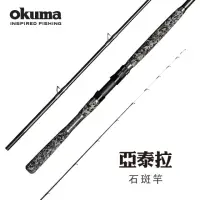 在飛比找momo購物網優惠-【OKUMA】Altera亞泰拉 龍膽石斑竿120號330 