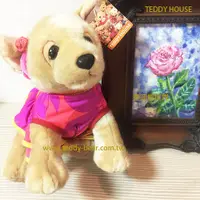 在飛比找蝦皮購物優惠-泰迪熊專賣店正版泰迪熊【TEDDY HOUSE泰迪熊】泰迪熊