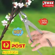 Multifunctional Pruning Shear Garden Tool Bonsai Tree Branch Cutter Scissor Tool
