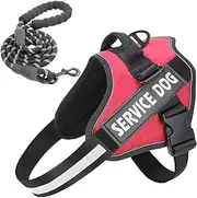 No Pull Dog Vest Harness with Handle and Reflective Tag – Comes with a Pet Leash and Two Detachable Service Tag- Adjustable, Comfortable, and Safe for Walking, Running, and Training (Red, Small)