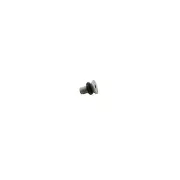 Polaris Bleed Screw, Genuine OEM Part 1800043, Qty 1