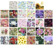 Paper+Design Flower Print Luncheon Napkins - Wintergarden