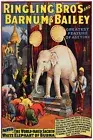 7576.Decoration Poster.Home interior.Room Wall art decor.Circus white elephant